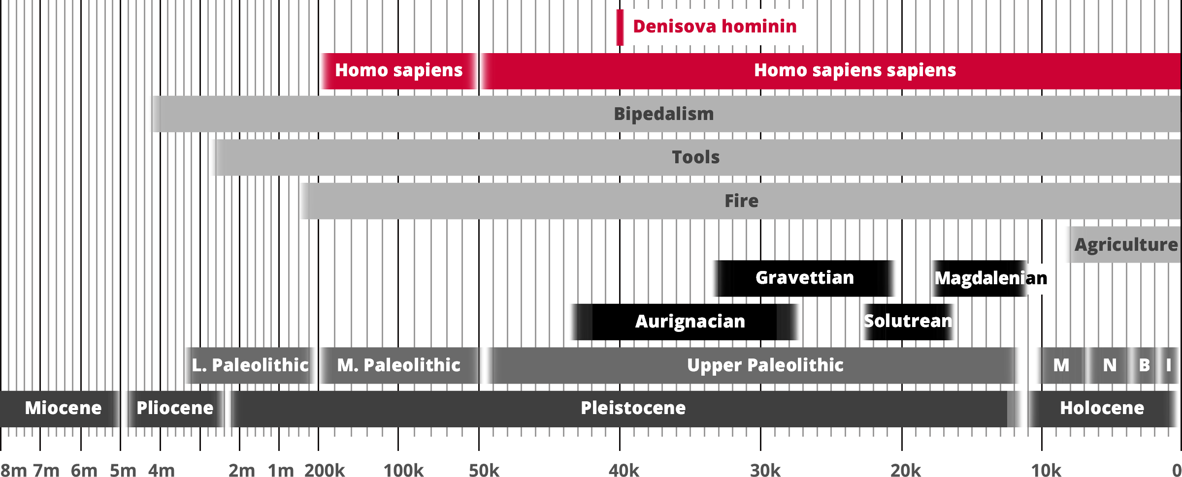 Denisova hominin