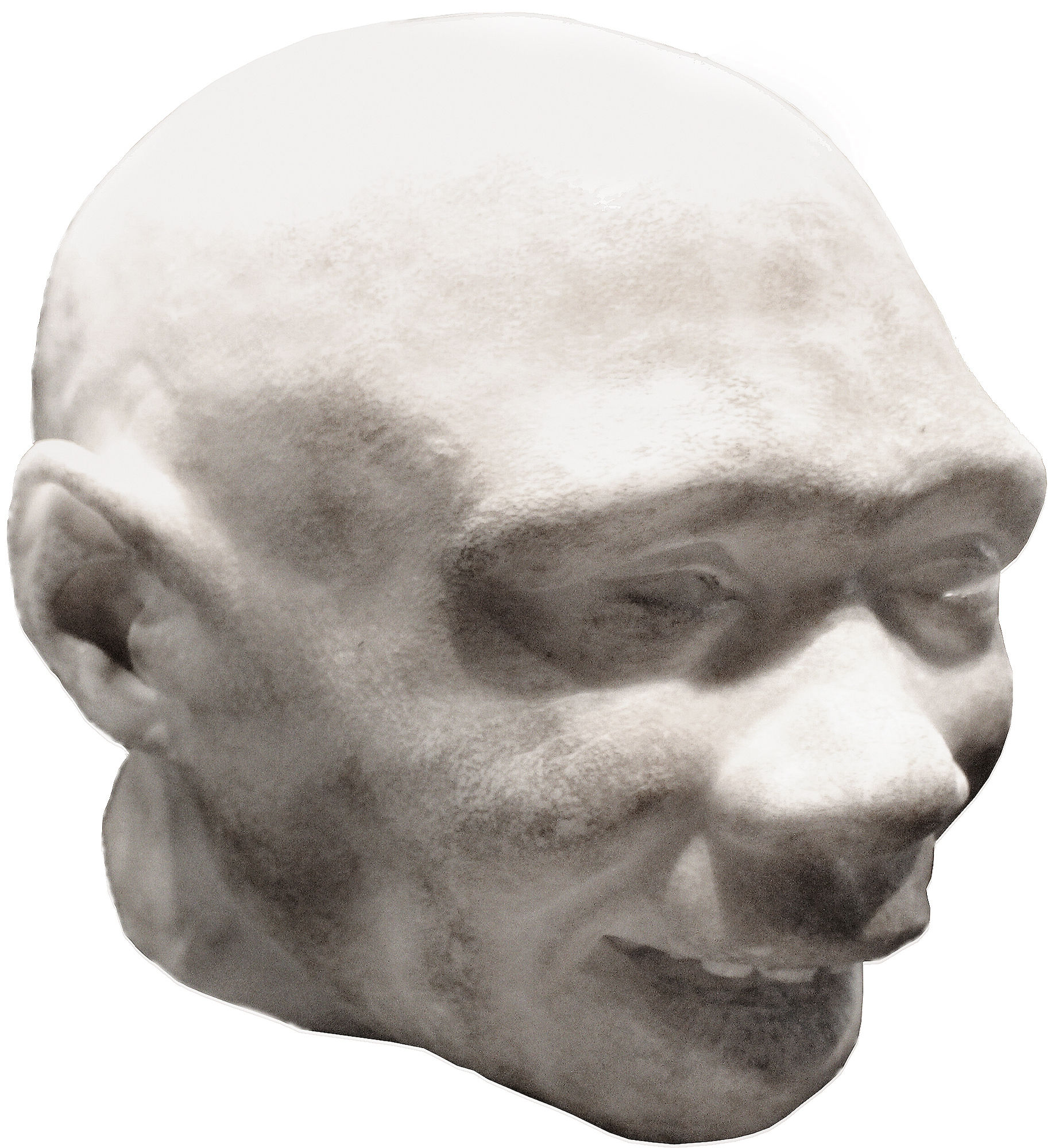 Bust of Homo antecessor child