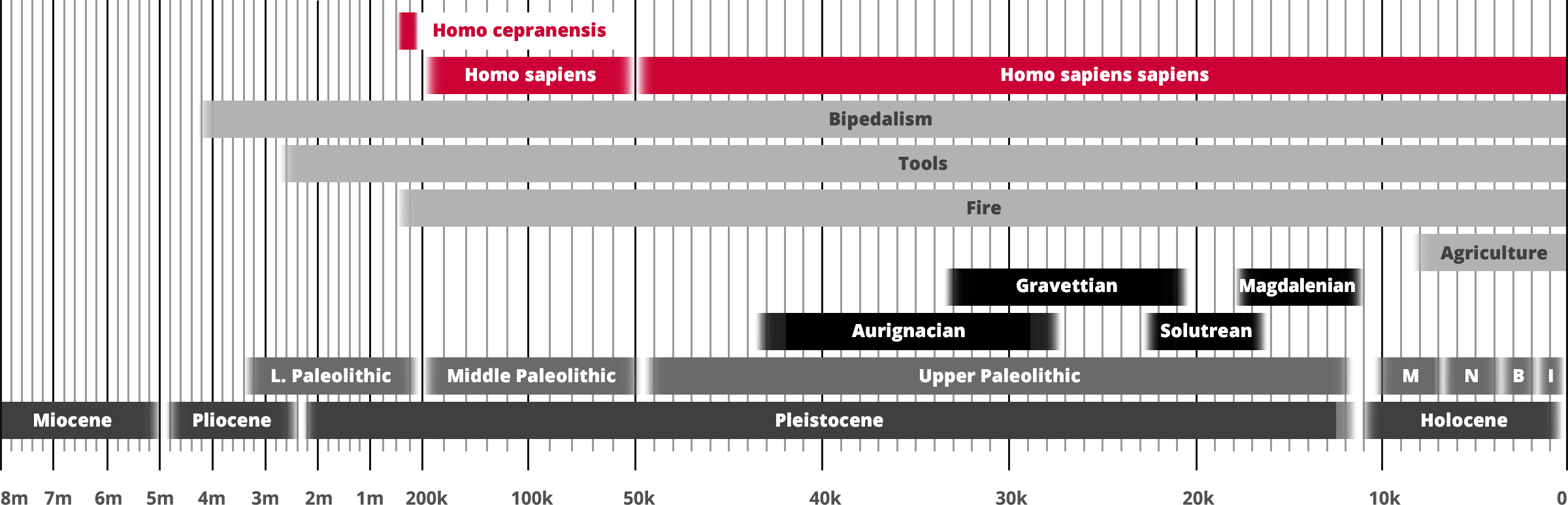 Homo cepranensis