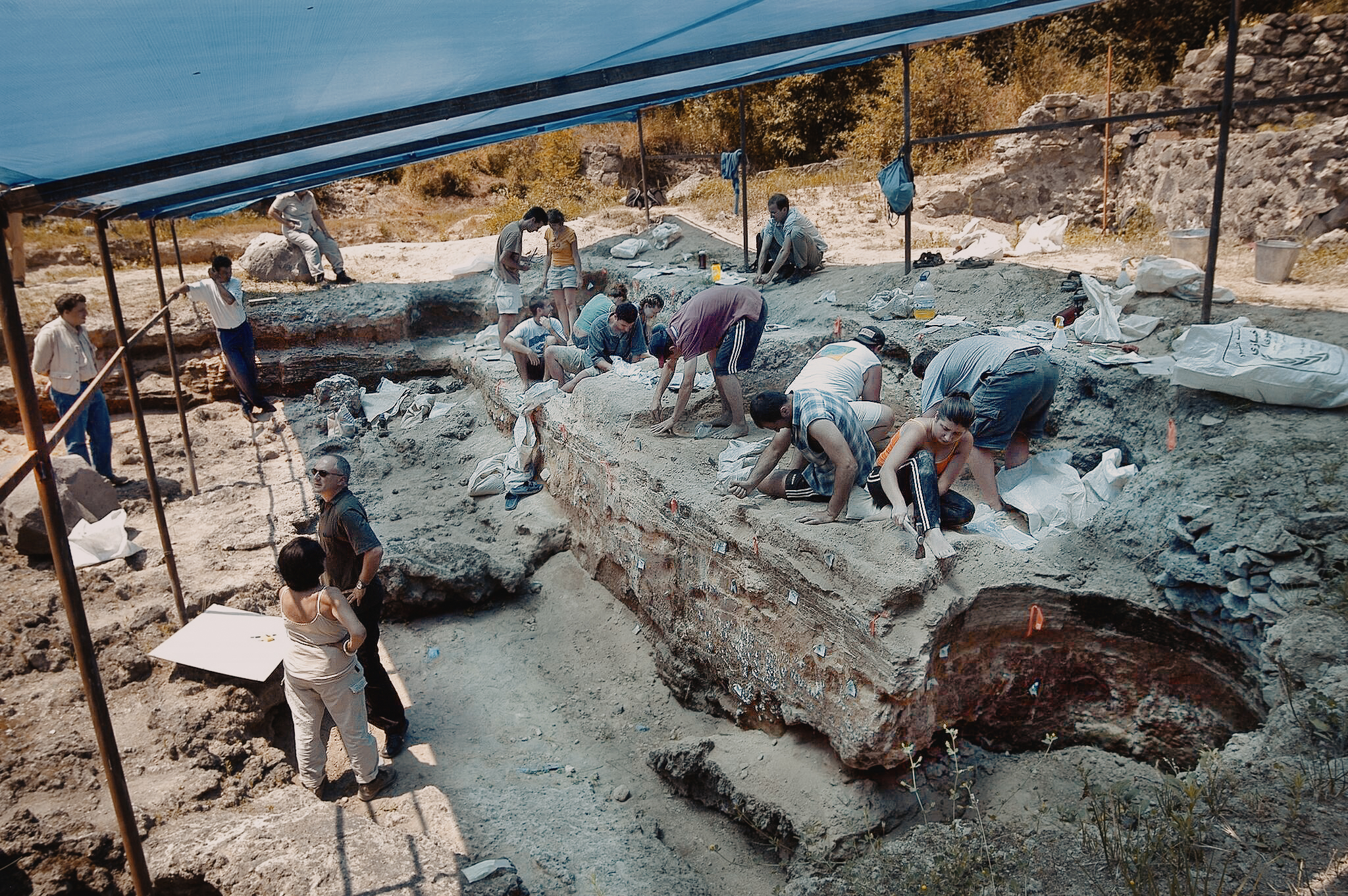 Dmanisi excavation site