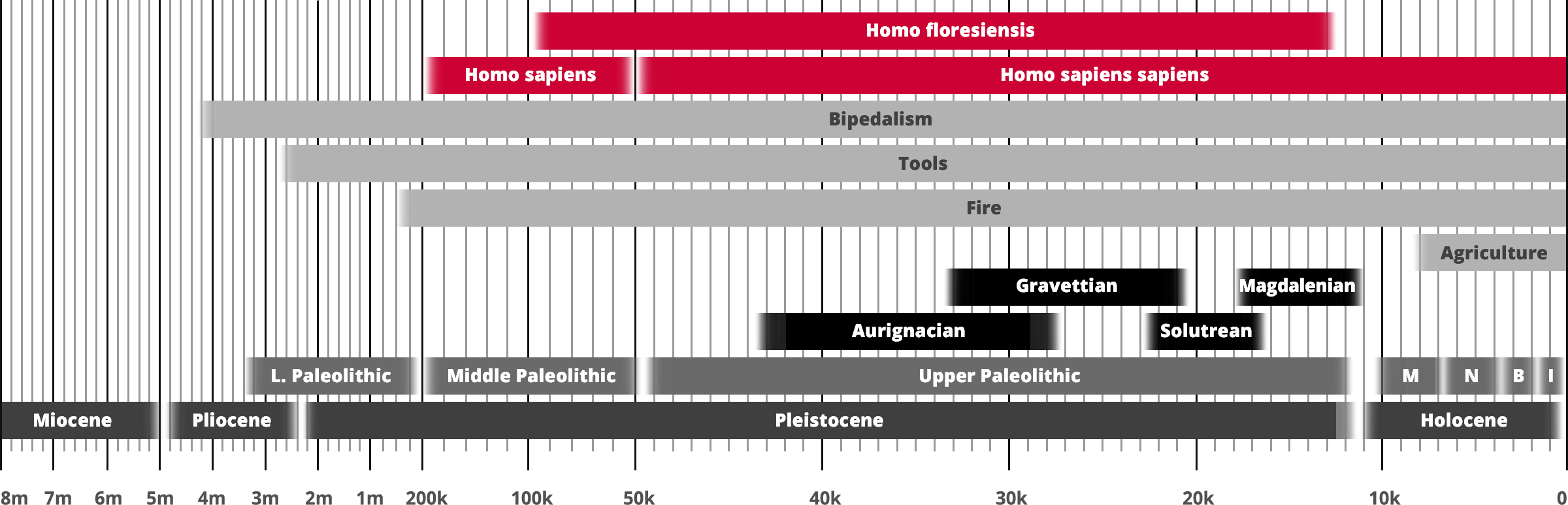 Homo floresiensis