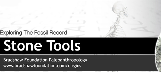 Origins Oldowan Stone Tools