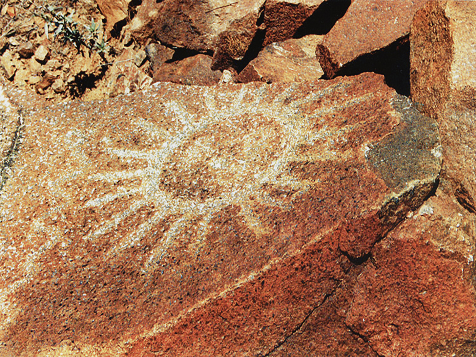 Petroglyph from the Archaological site of Checta