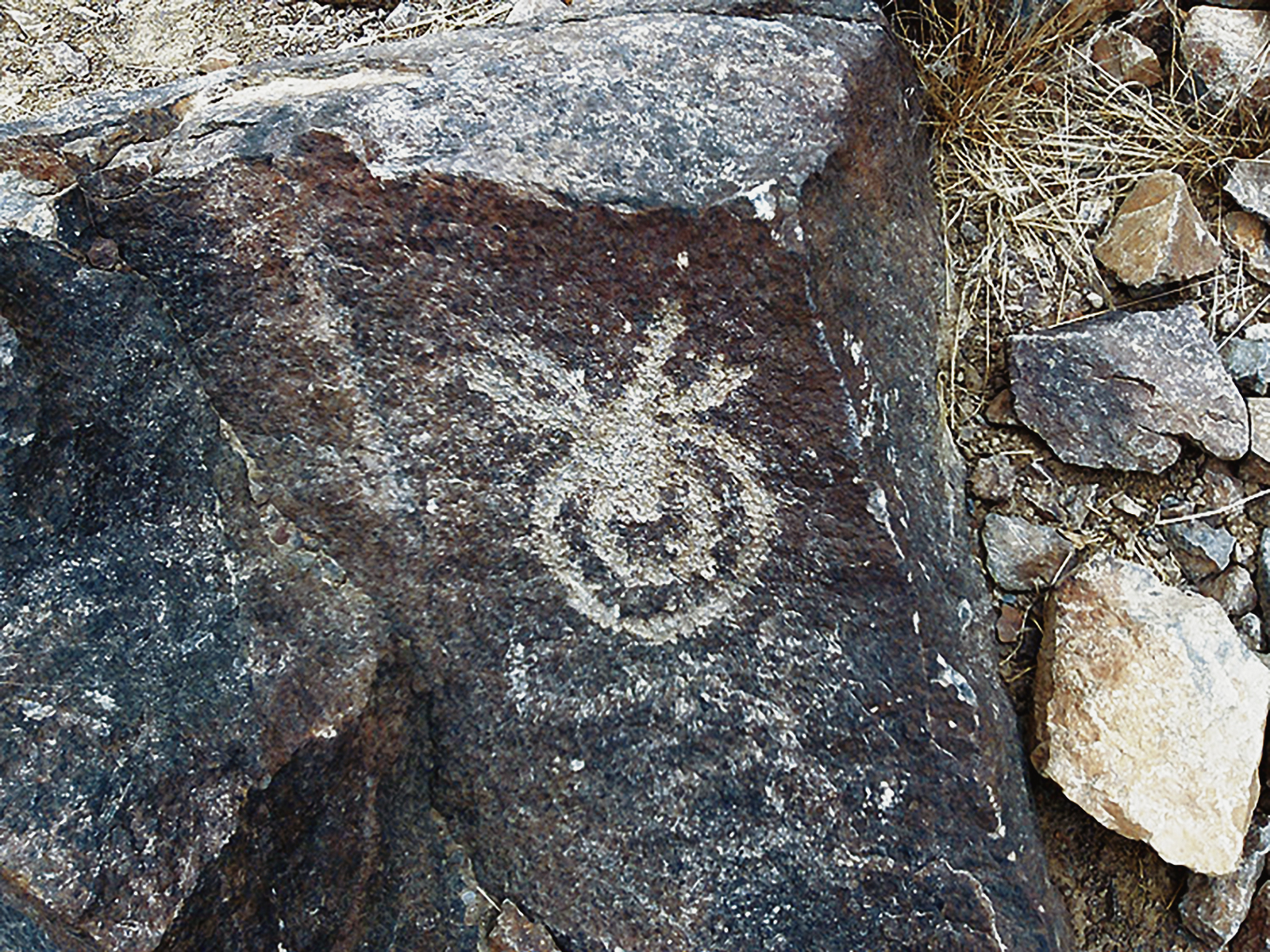 Petroglyph Rock Art Checta Peru