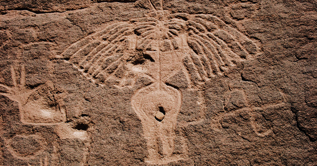 Bradshaw Foundation Facebook