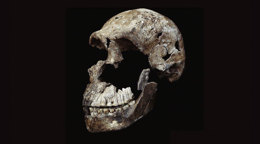 Homo naledi Rising Star Cave Lee Berger Cradle of Humankind South Africa 