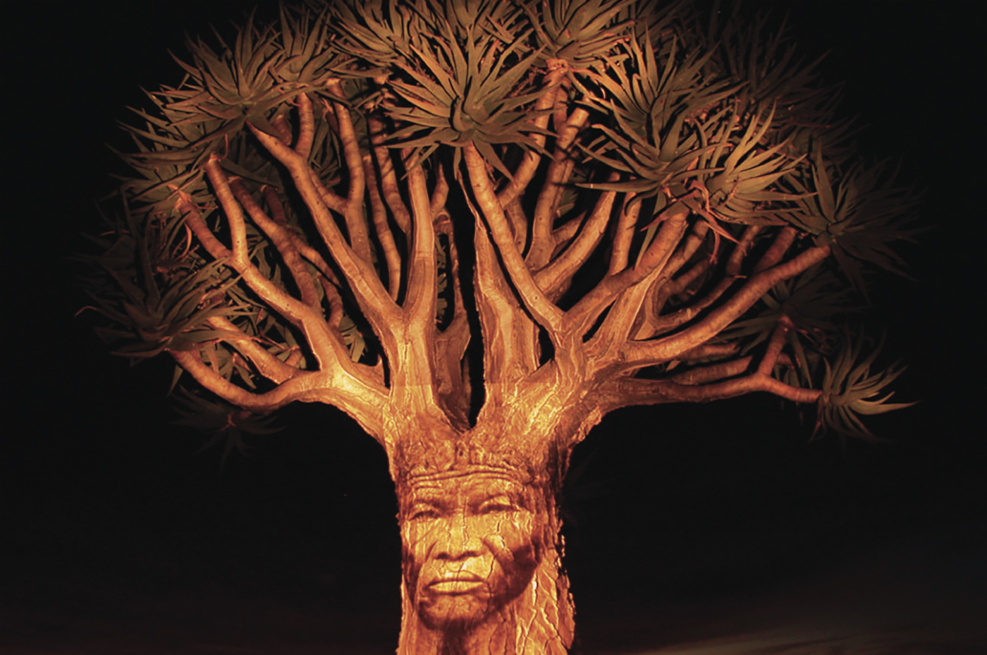 ǁKabbo’s face projected onto a quiver tree near Olifantvlei, at the southern end of the Flat Bushman territory marked on his map