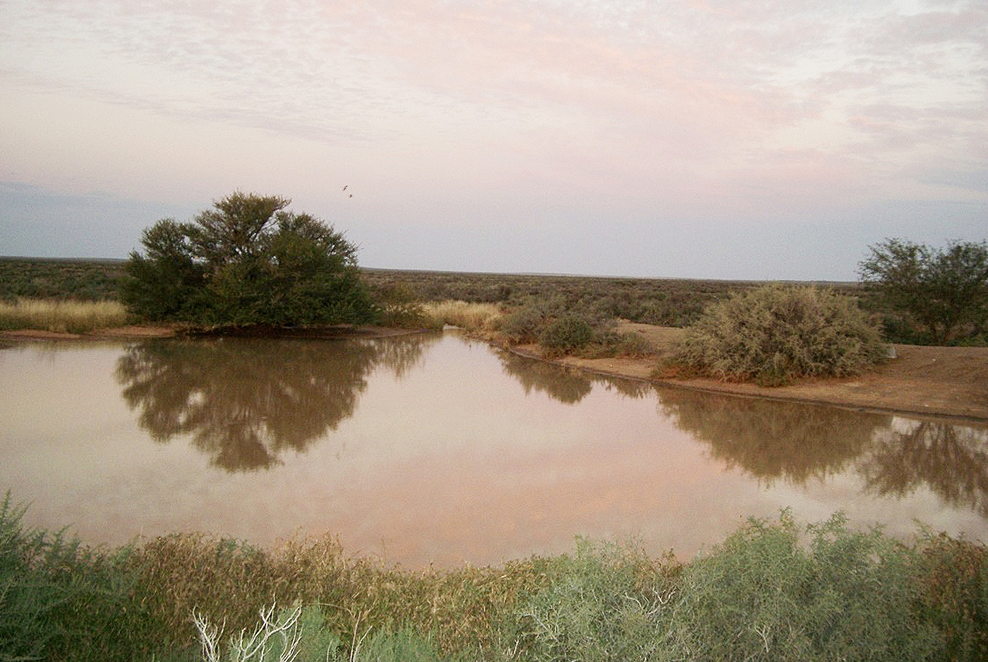 A rare pool of water after rain at the Bitterpits that ǁkabbo called his place.