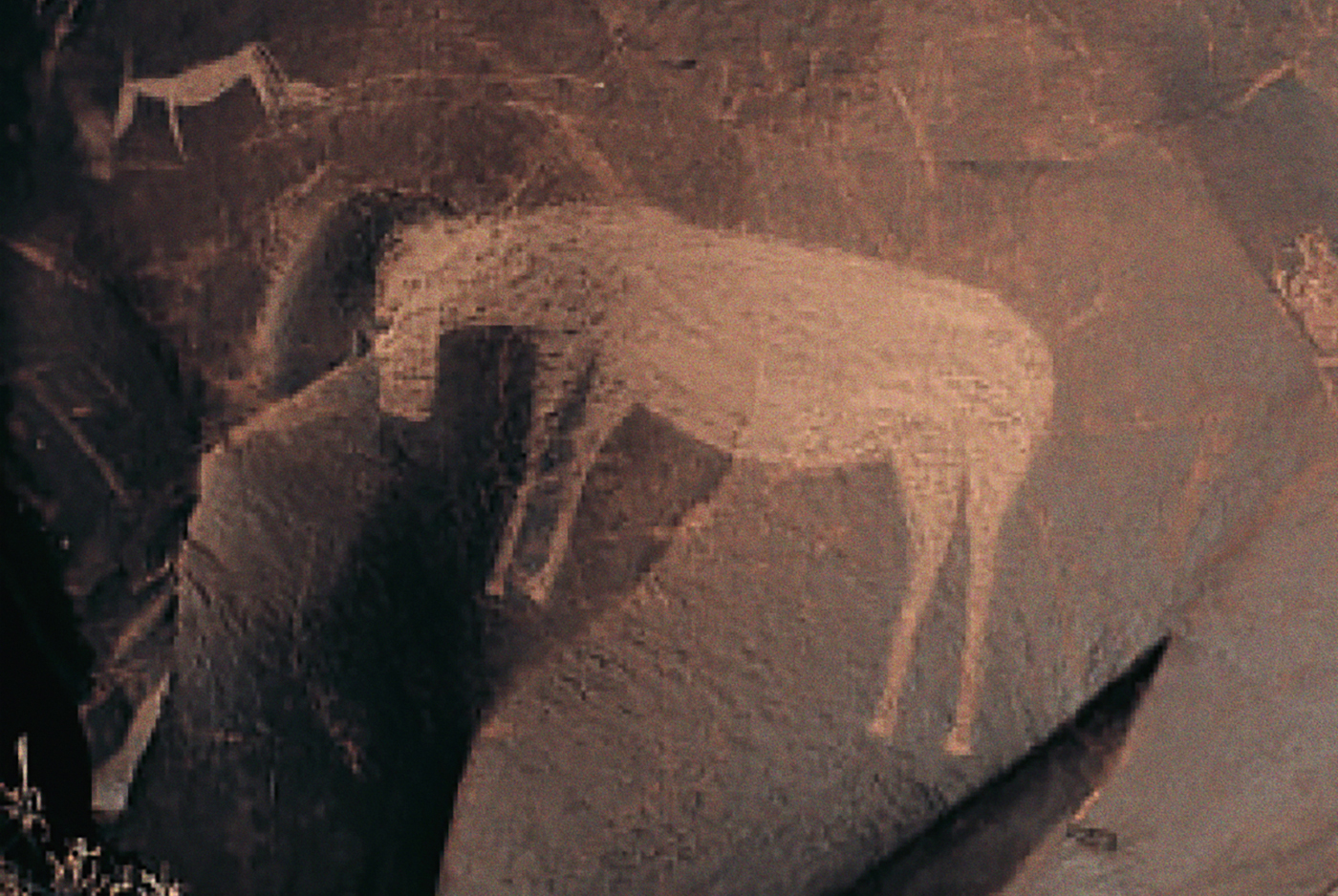 Engraving of an equid, most likely a zebra, on Springbokoog near Olifantvlei