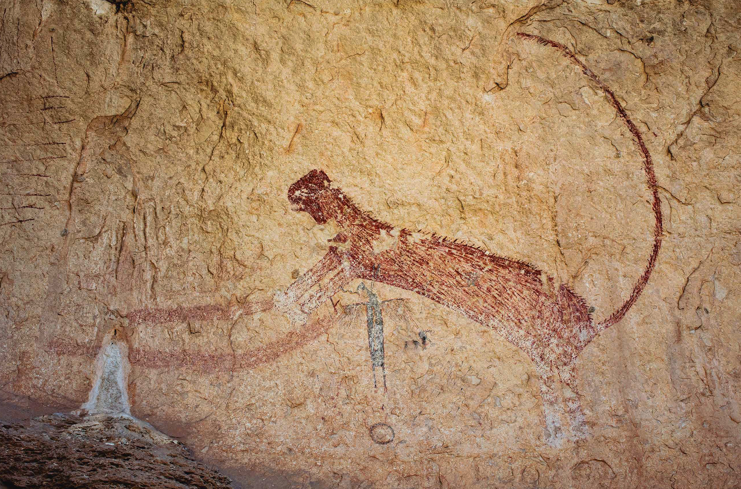 Panther Cave was named for this beautiful, 2.5-meter-long feline. Whereas the deer is associated with the sun at dawn, the feline is associated with the sun at night