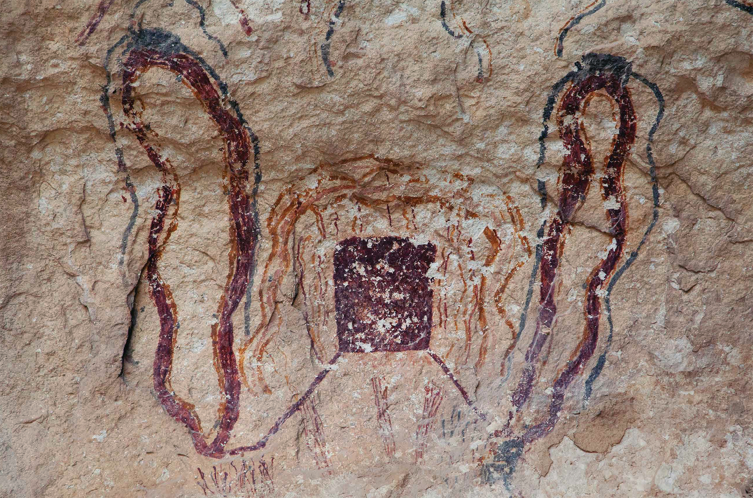 Boxes with legs arranged in complex compositions are a common motif in the Lower Pecos, but what they represent is unknown. This grouping from Black Cave is several meters above the shelter floor and spans 2 meters