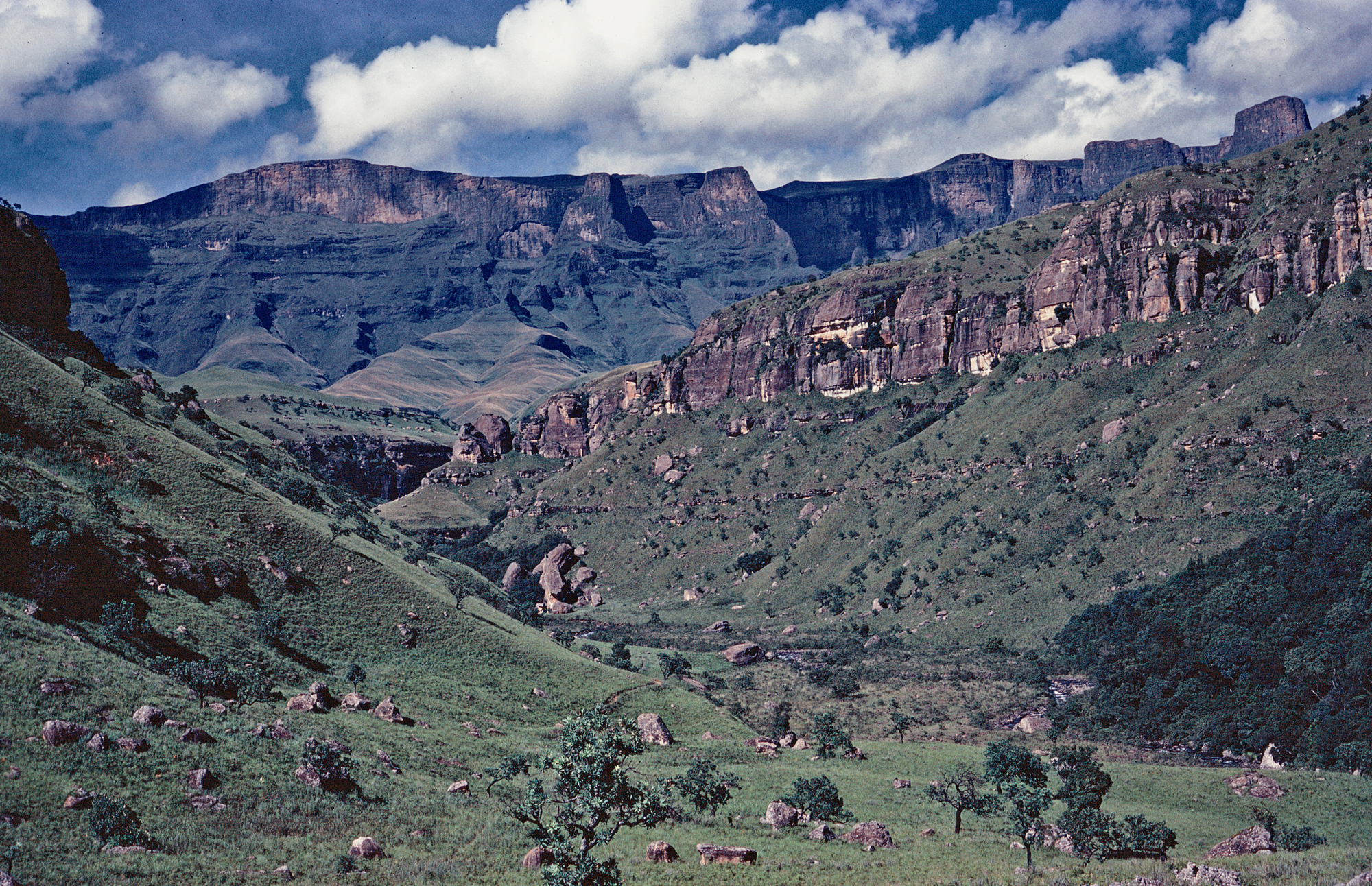 Injasuthi area, central uKhahlamba-Drakensberg.