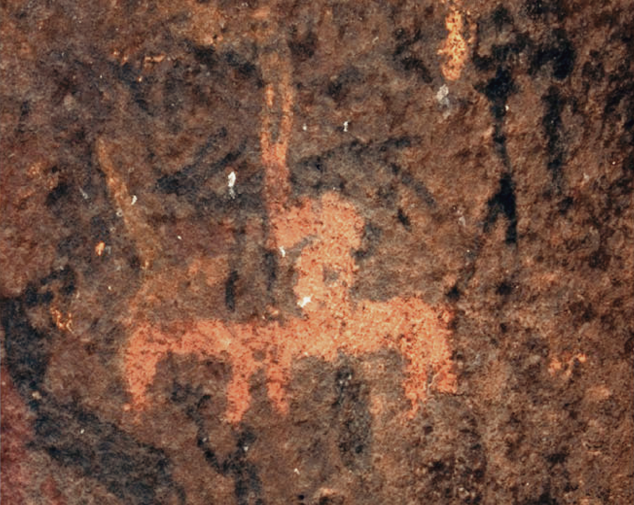 Finger-painted and fine-line horses from the shelter along the Mancazana River that attest to the mixed nature of these bandit groups as described by Pringle (1840: 77). Scale is indicated by the width of the finger painting