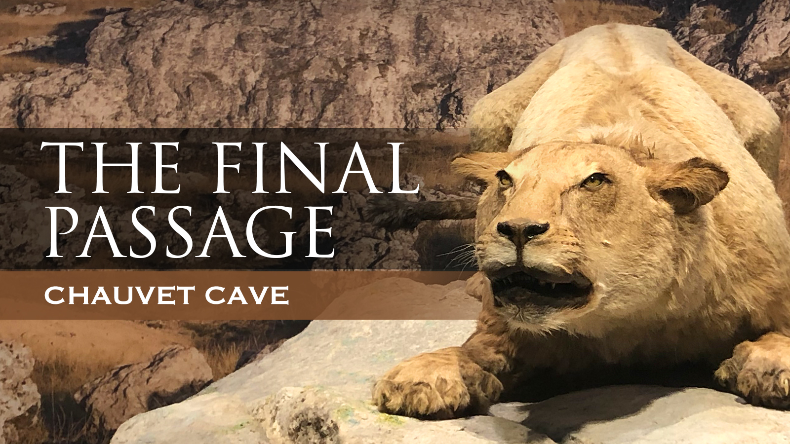 The Rock Art Network Final Passage Chauvet Cave