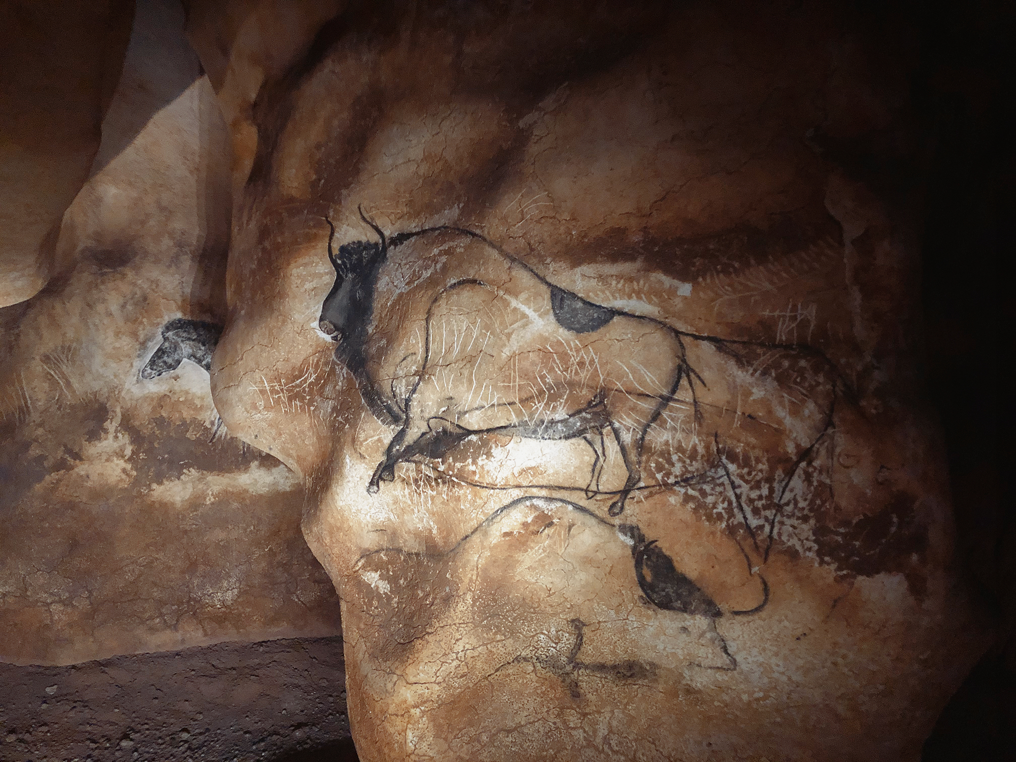 Chauvet Cave Replica