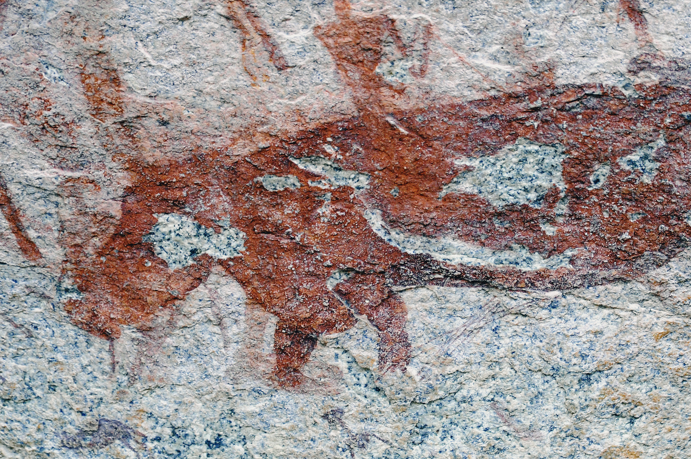 Hippopotamus Rock Art Markwe Cave Zimbabwe Africa Archaeology