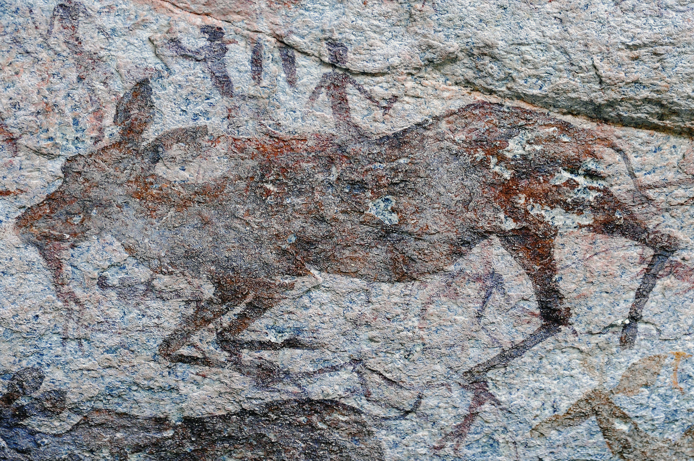 Reclining Kudu Rock Art Markwe Cave Zimbabwe Africa Archaeology