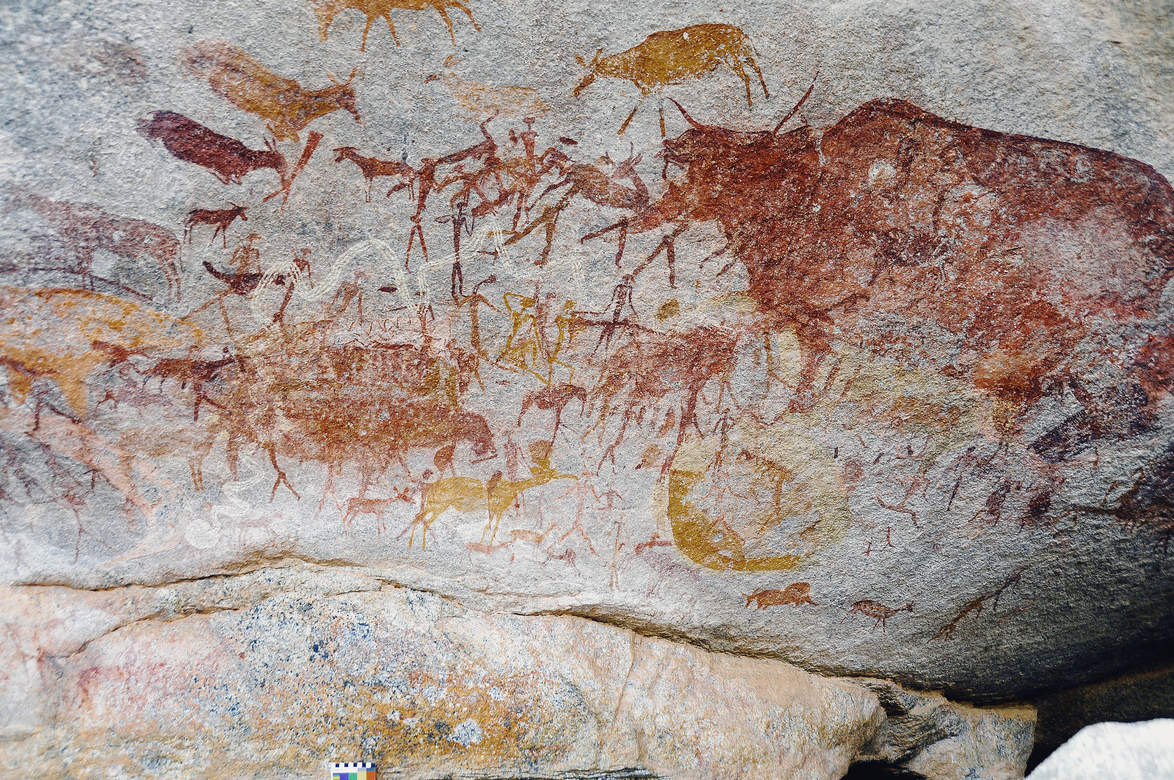 Buffalo Panel Rock Art Markwe Cave Zimbabwe Africa Archaeology