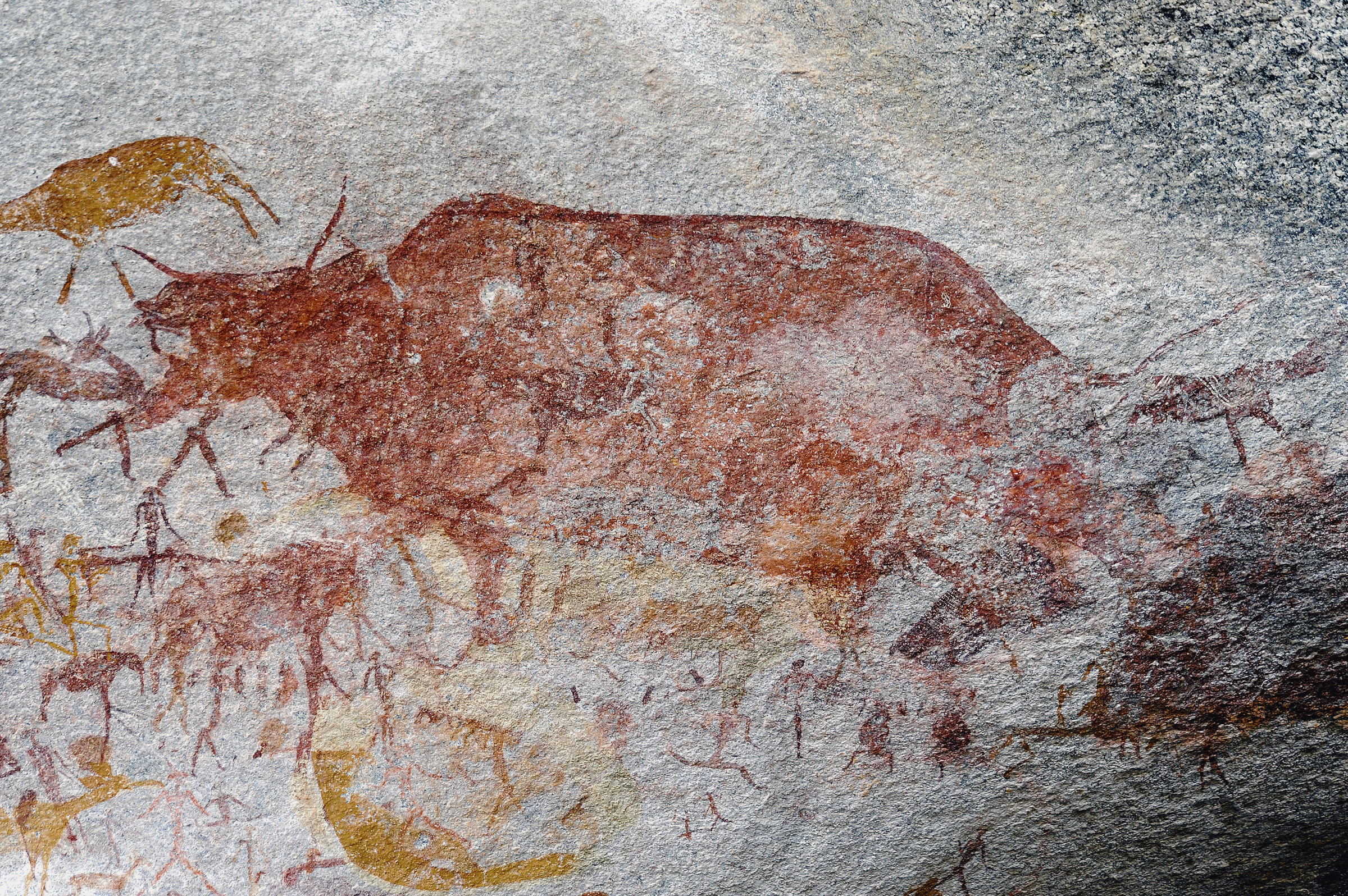 Buffalo Panel Rock Art Markwe Cave Zimbabwe Africa Archaeology