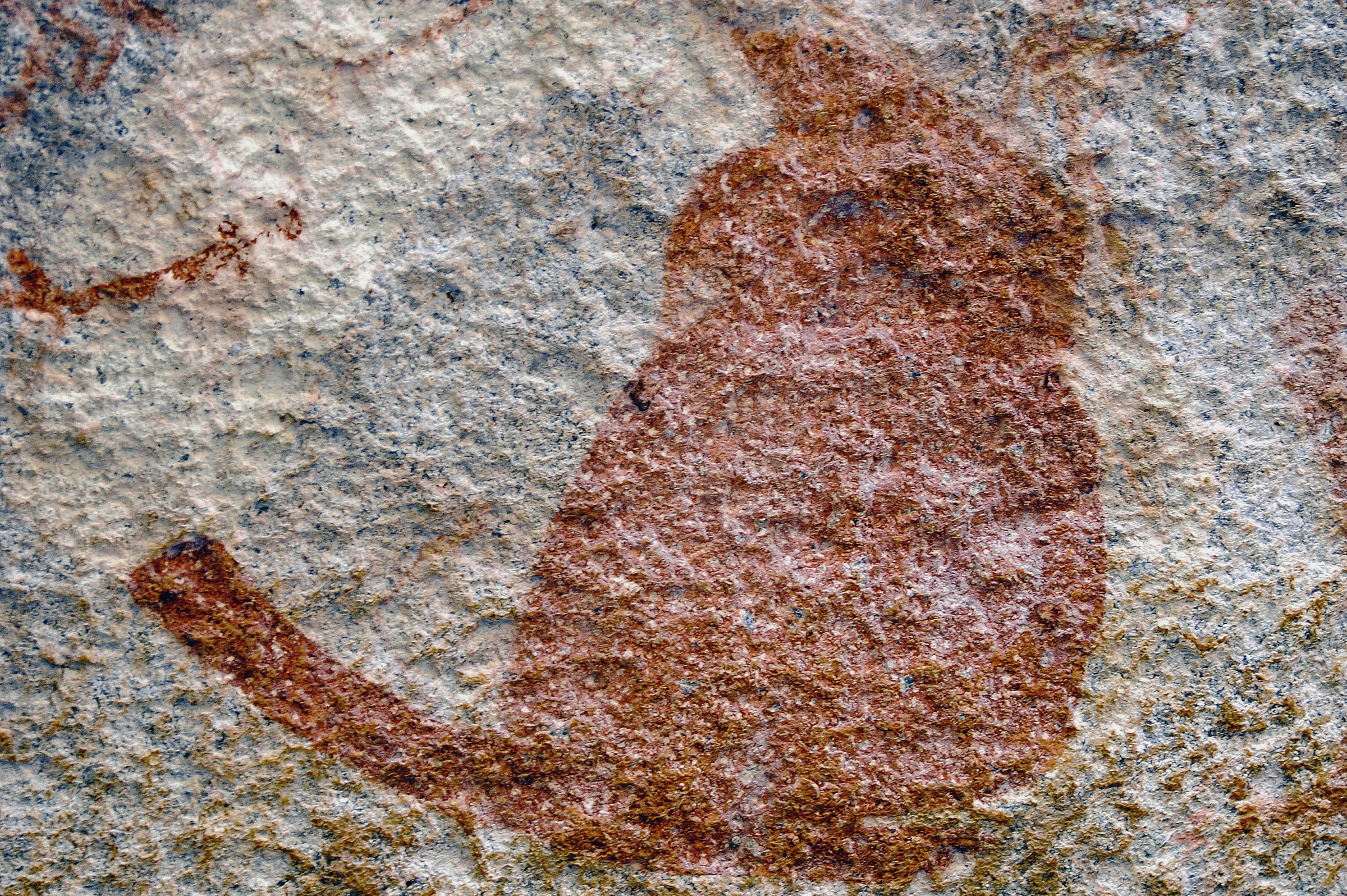 Possible Owl Rock Art Markwe Cave Zimbabwe Africa Archaeology