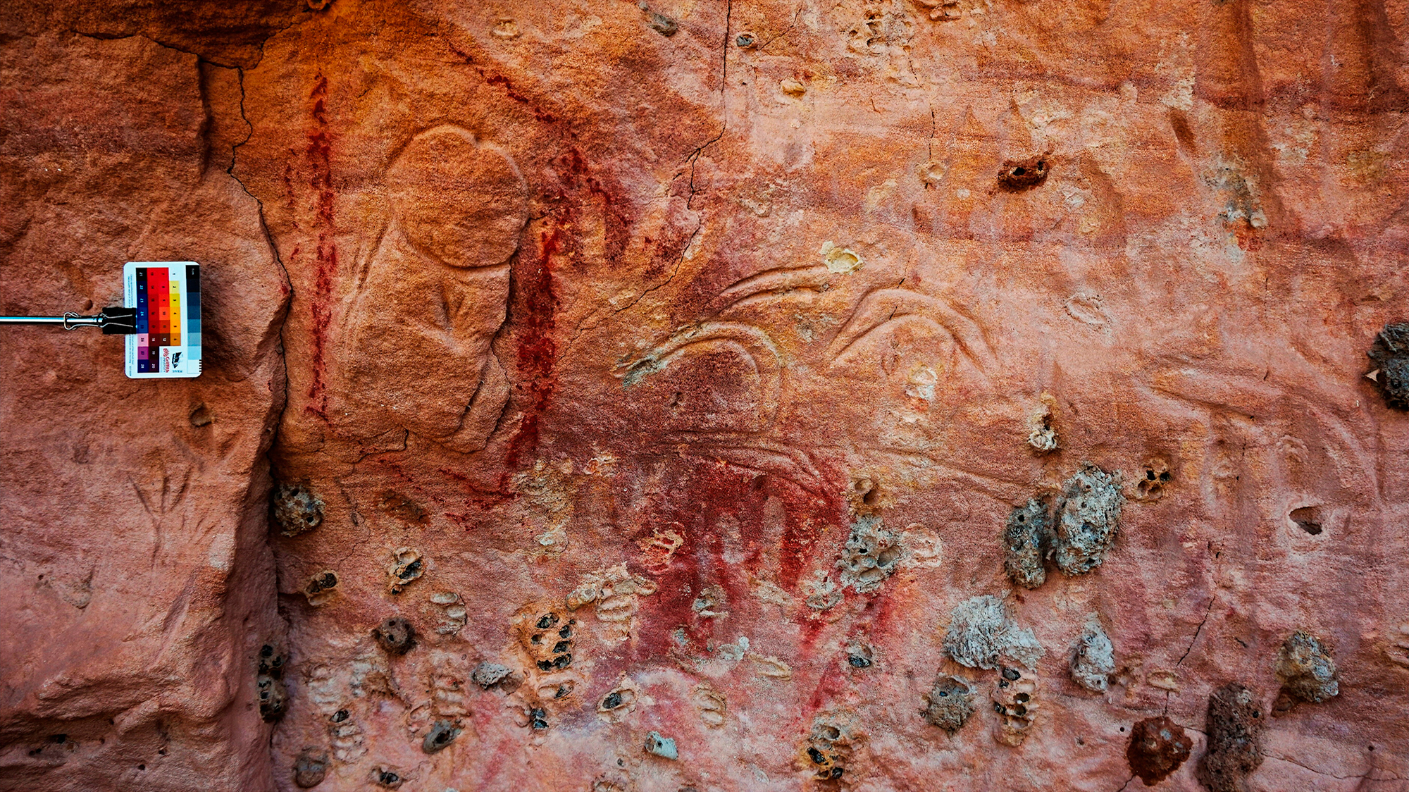 Figure 10.<br>Engraved penis and boomerangs to the immediate left of the seven star-like designs interpreted as the Seven Sisters. The penis, outlined in red ochre, is interpreted by community Elders as referring to Wattanuri