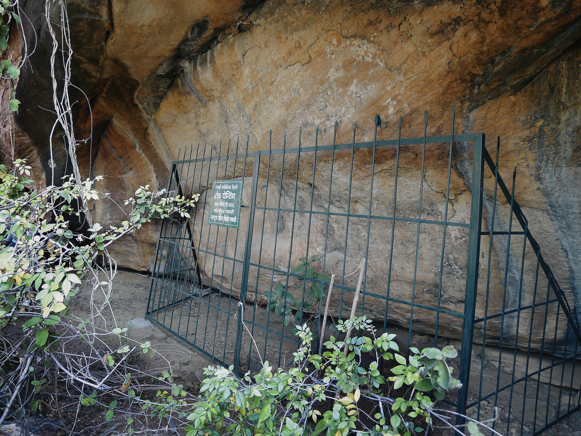 Protected shelter at Pachmarhi enclosed with railings Rock Art Sites Protection and Guides Training In Satpura Tiger Reserve