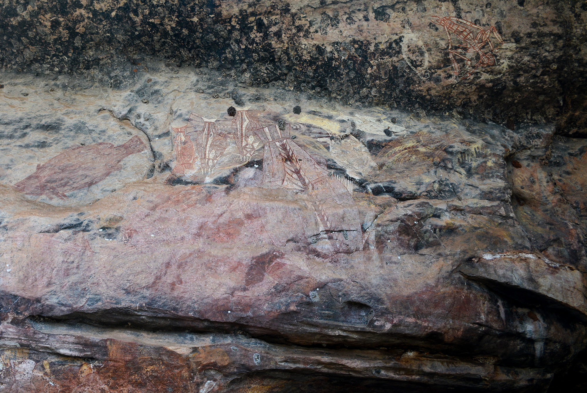 A rock art site to the southeast of Gunbalanya Road. Paintings are barely visible under layers of accumulated dust. If left untreated, this dust can bond to the rock surface forming a crust, exacerbate erosion, or negatively impact the paintings in other ways.