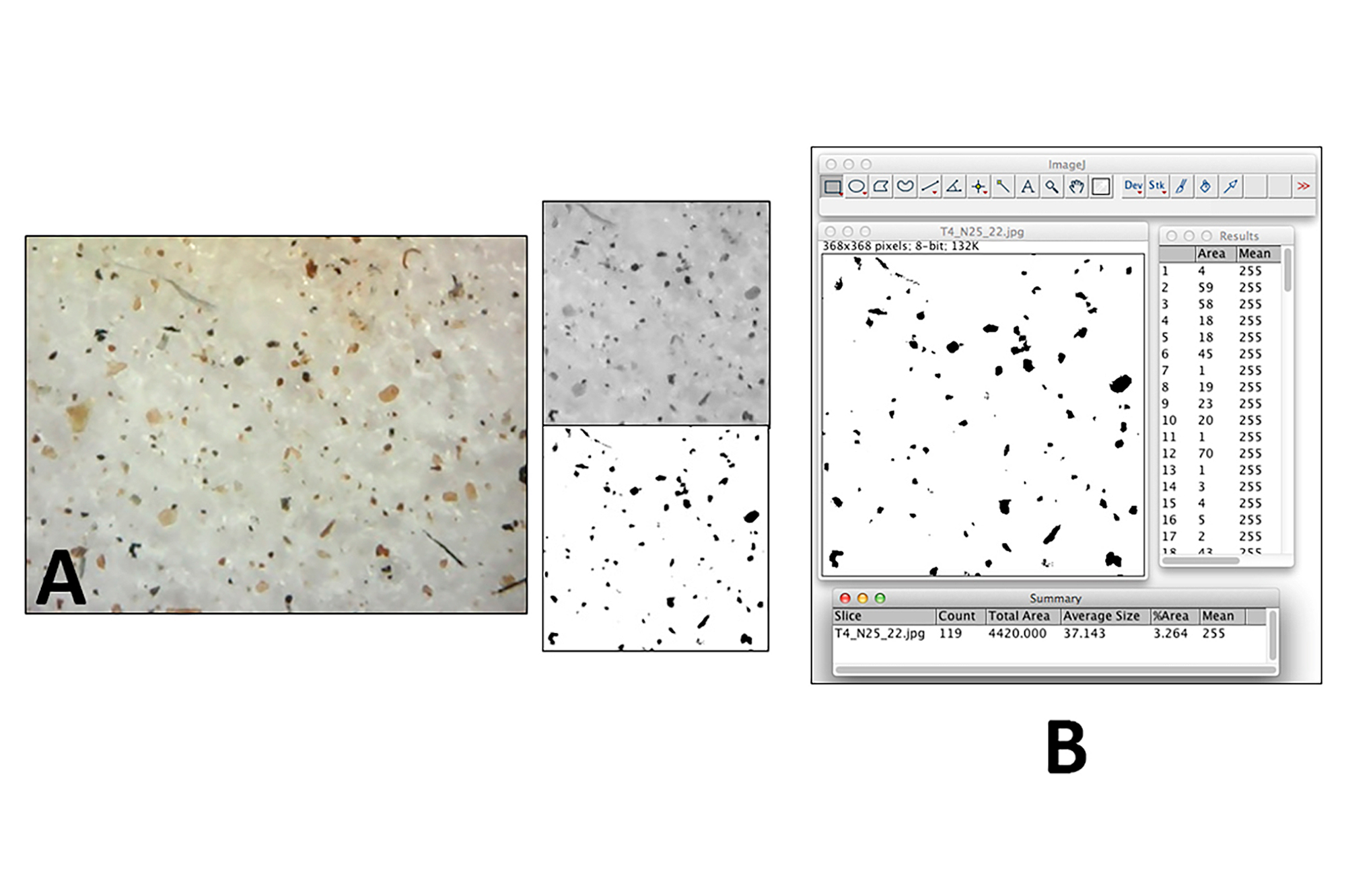 Microphotographs of samples were cropped and converted to greyscale then binary images (A), which allowed their analysis in the software ImageJ (B). The software identifies each separate particle of dust (in black) and calculates its size (in pixels), giving a percentage of the total area covered by dust (%AC).