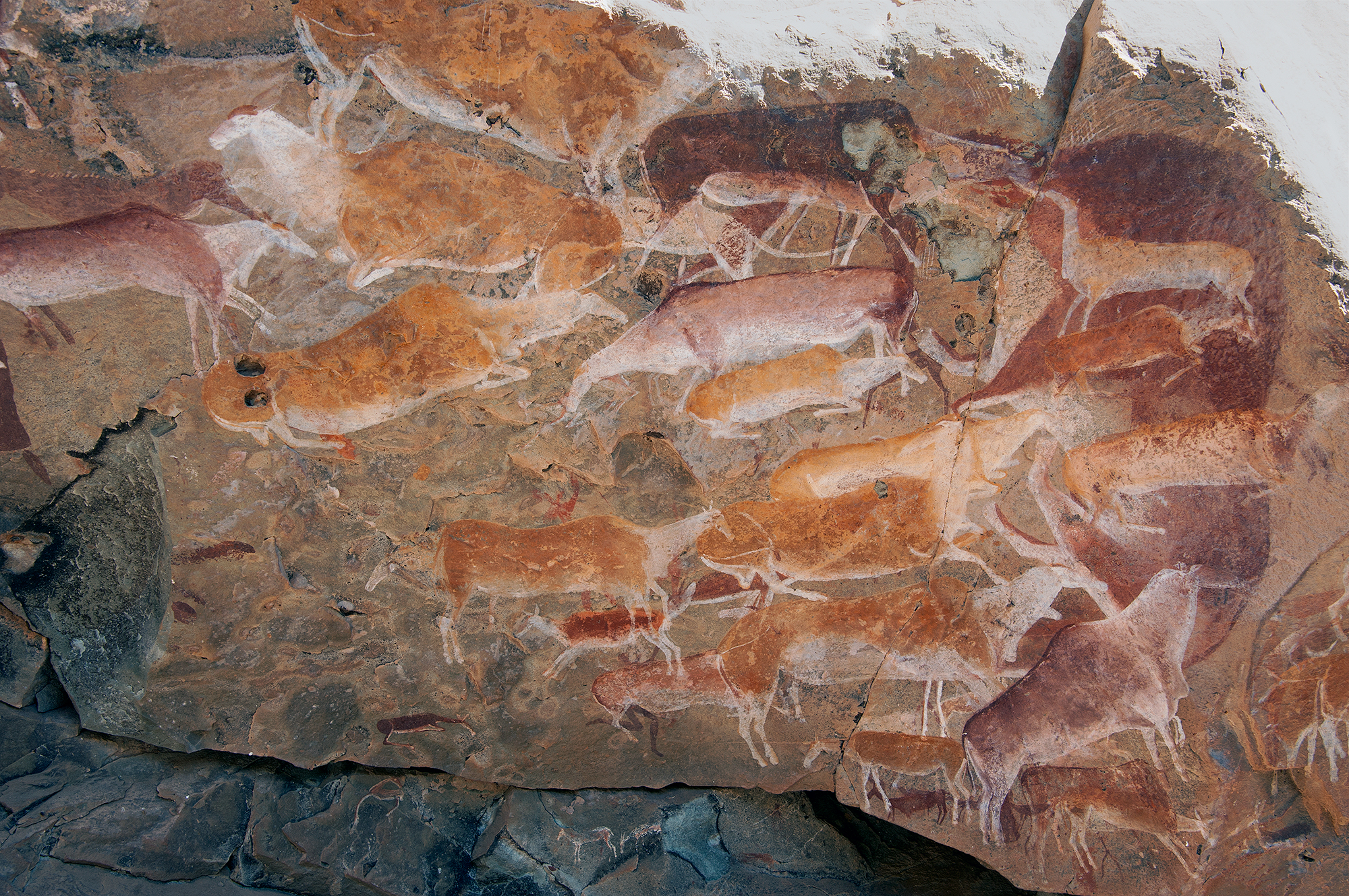 Rock Art Network Eland uKhahlamba-Drakensberg Mountains Cave Paintings Art South Africa
