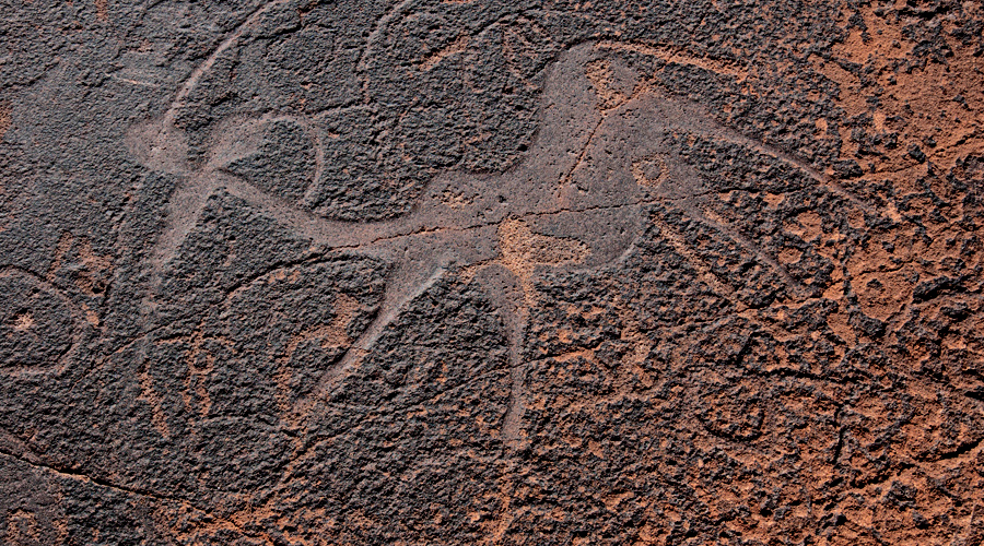 Twyfelfontein Namibia Africa Rock Art Network Cave Paintings UNESCO World Heritage List Bradshaw Foundation Getty Conservation Institute