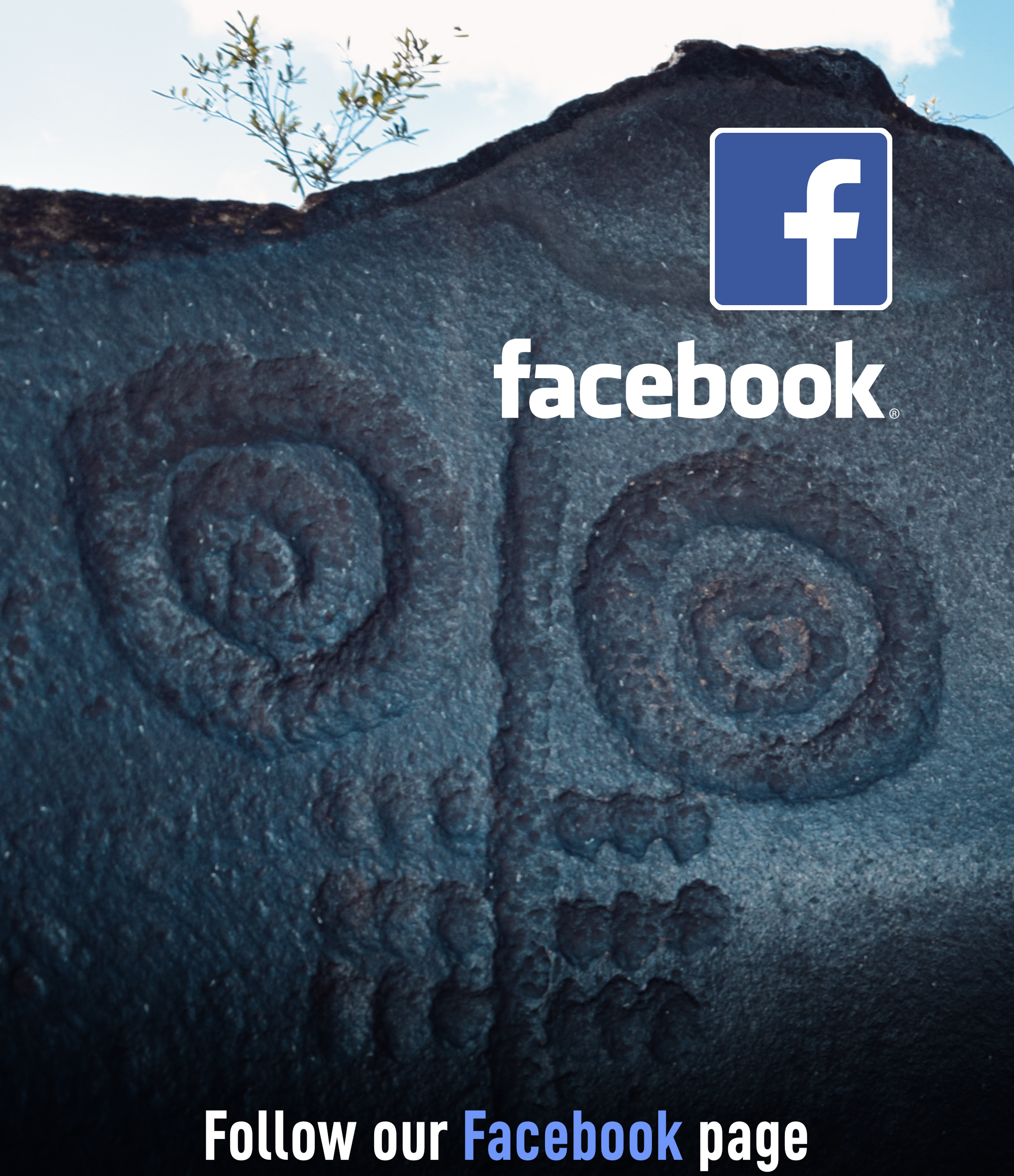 Bradshaw Foundation Facebook