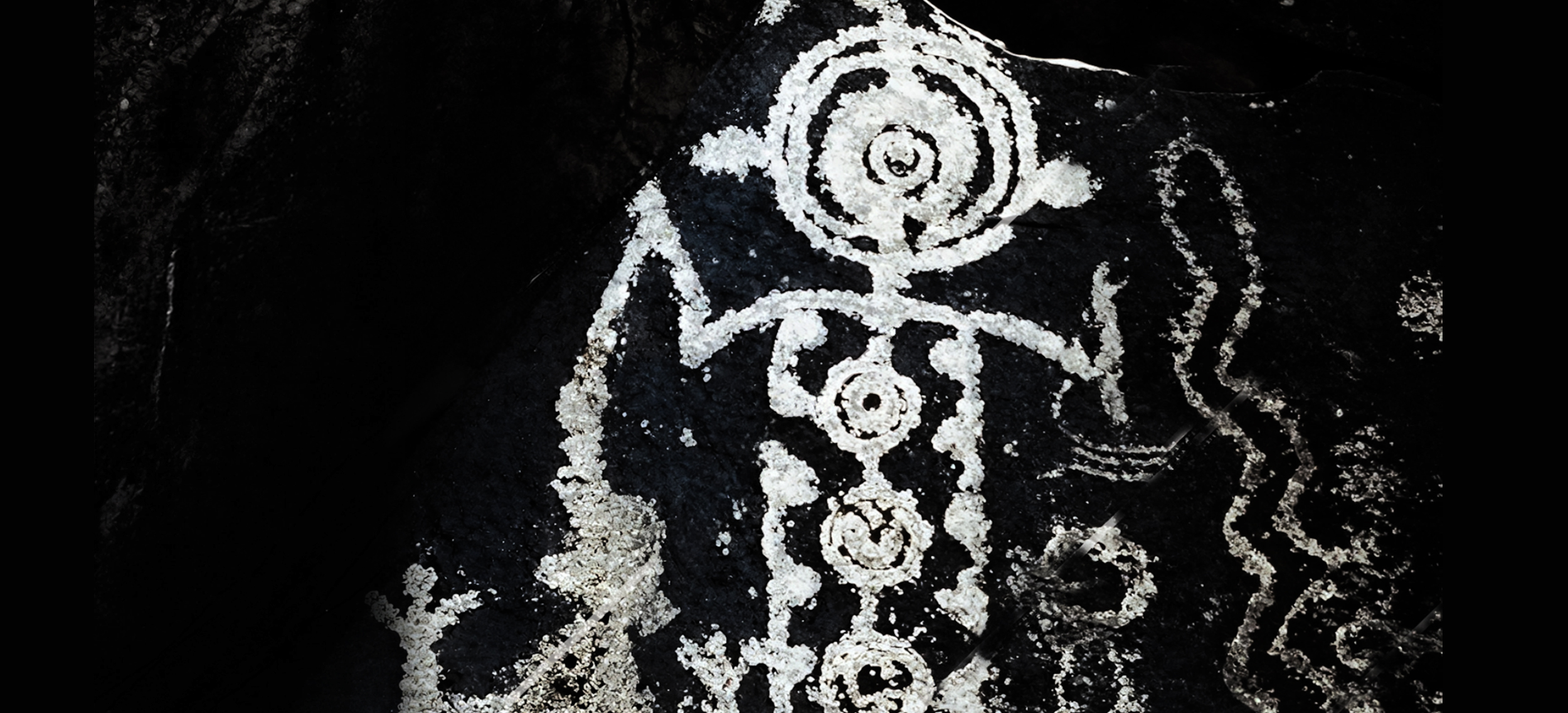 Bradshaw Foundation X Twitter