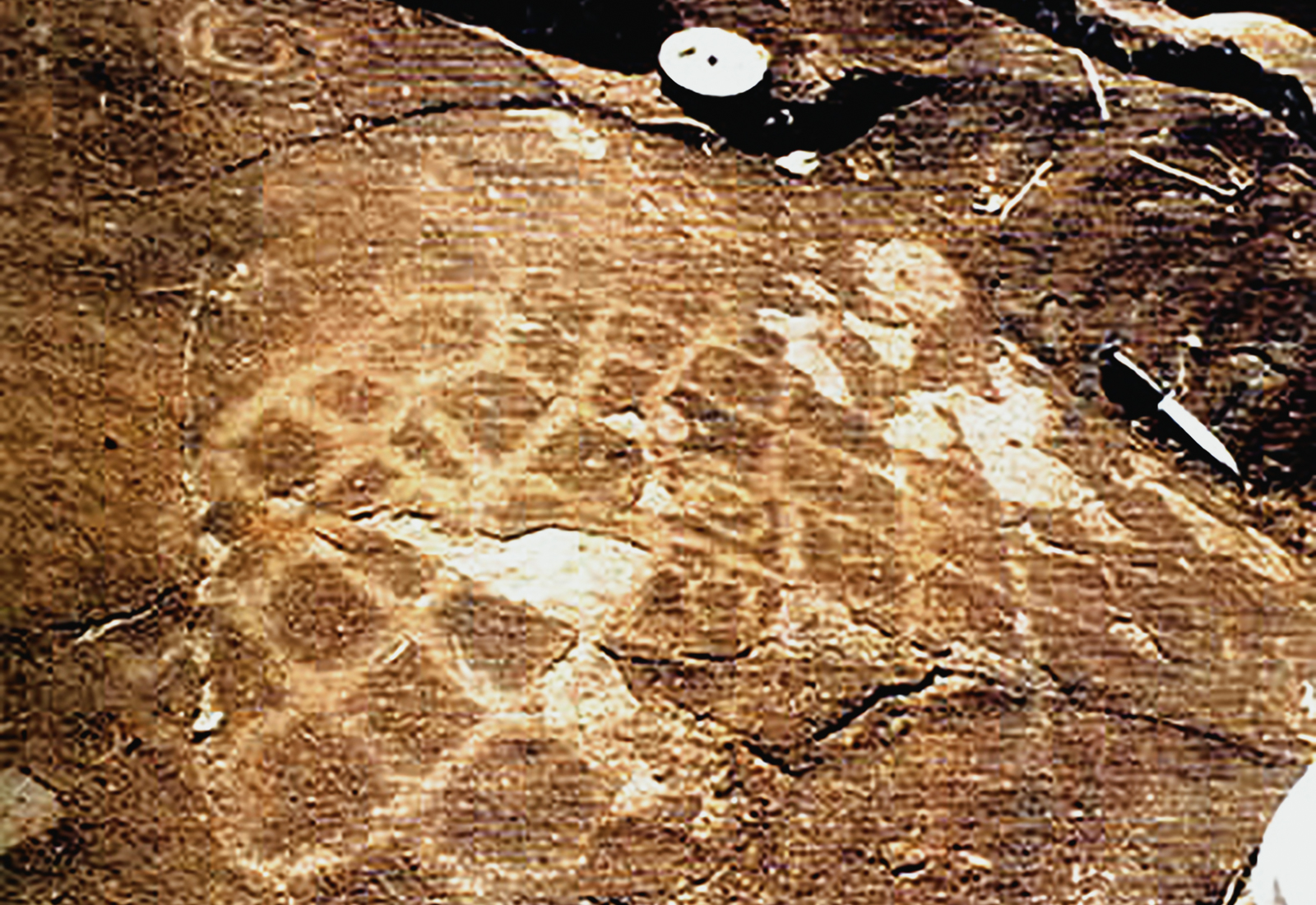 Campeche Rock Art Petroglyphs