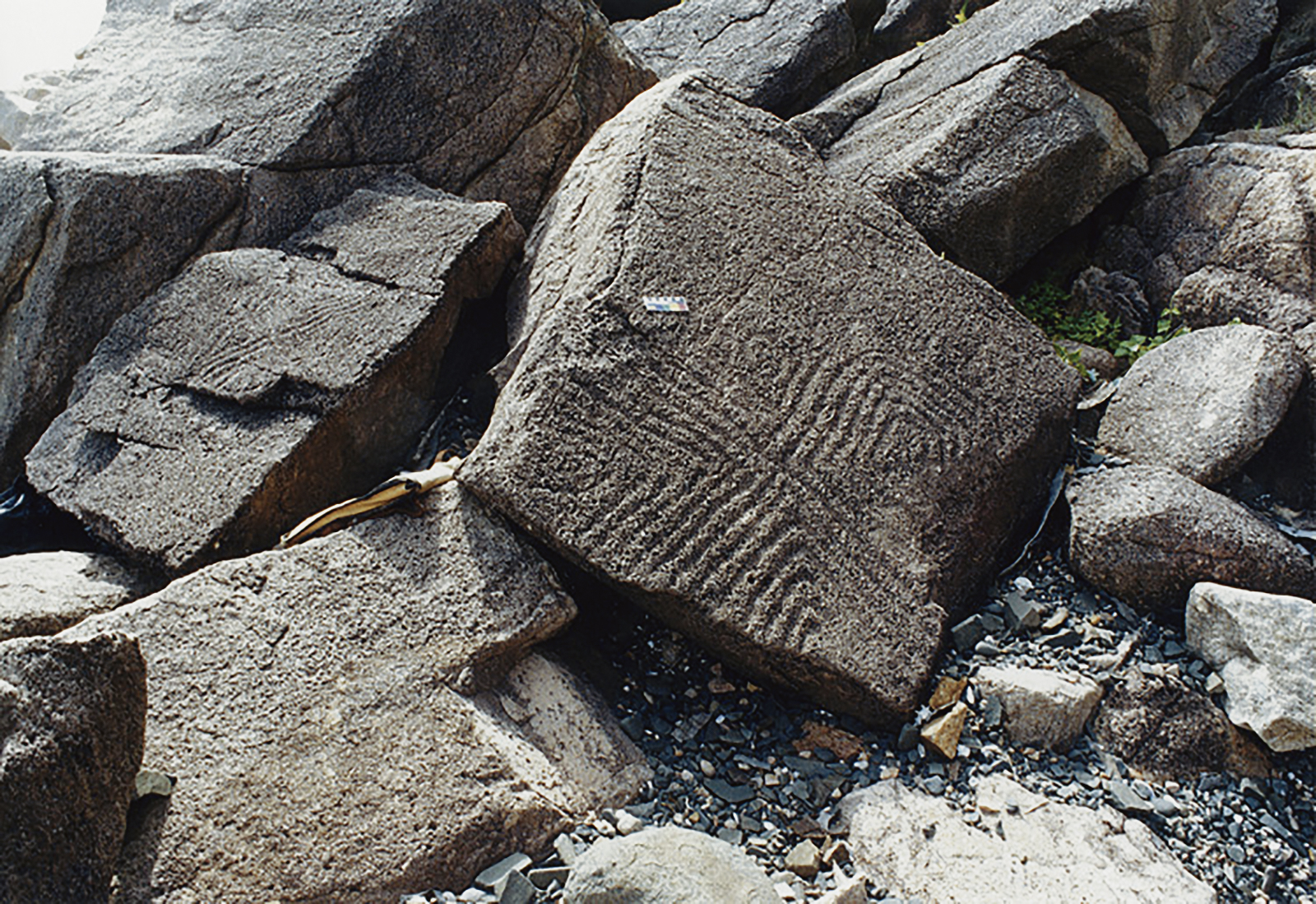 Rock Art Petroglyphs Little Sister Island Santa Catarina Brazil Archaeology