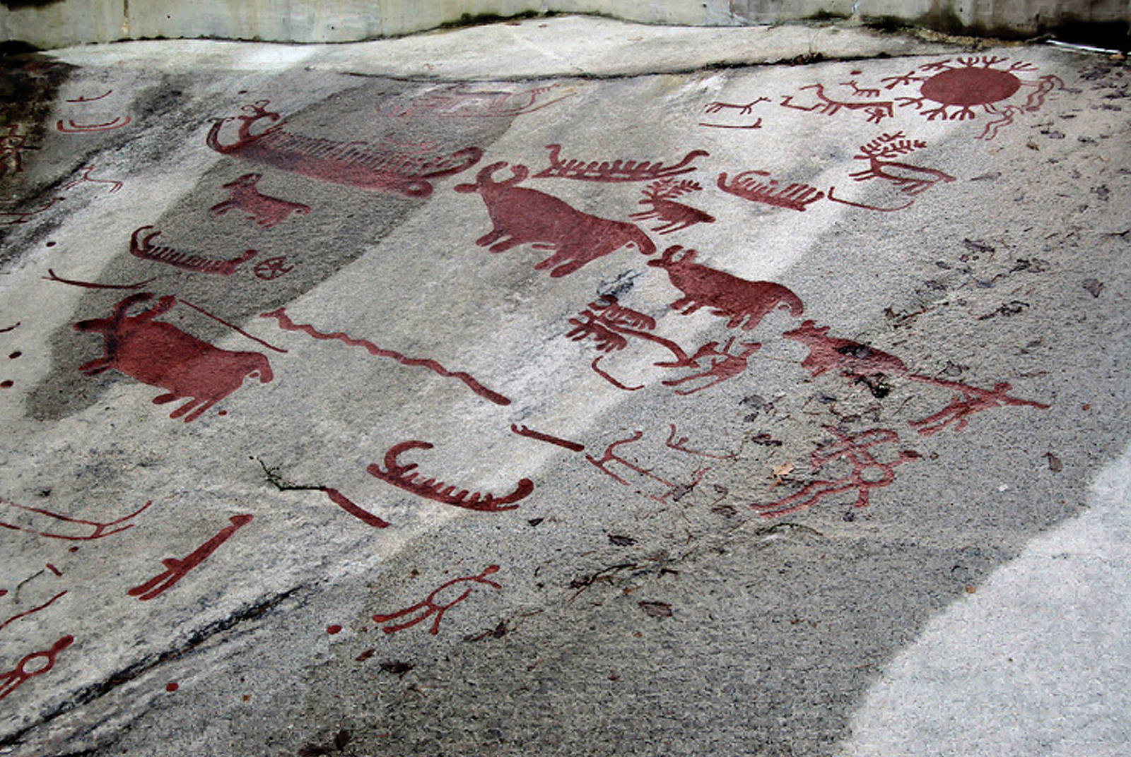 Rock Art Petroglyphs Tanum Rock Art Museum Sweden