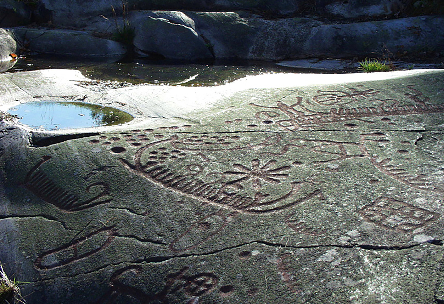 Massleberg Tanum Rock Art Petroglyphs Tanum Rock Art Museum Sweden