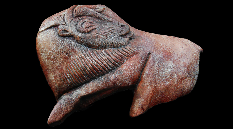 Bradshaw Foundation Ice Age Sculpture Sculptures