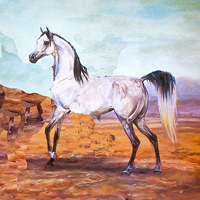 The Arabian Horse - Origin & Development in Saudi Arabia