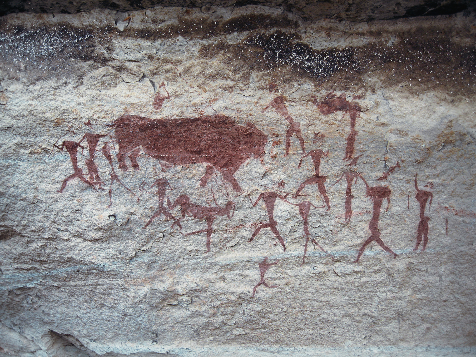 Capturing the Rain Bull rock art paintings reflect the San
travelling to the spirit realm San Rock Art South Africa