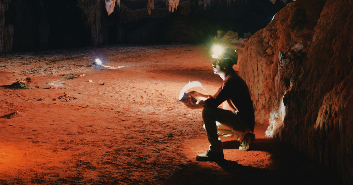 Bradshaw Foundation Facebook