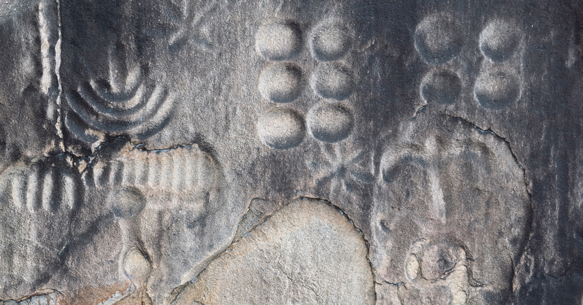 Bradshaw Foundation Twitter