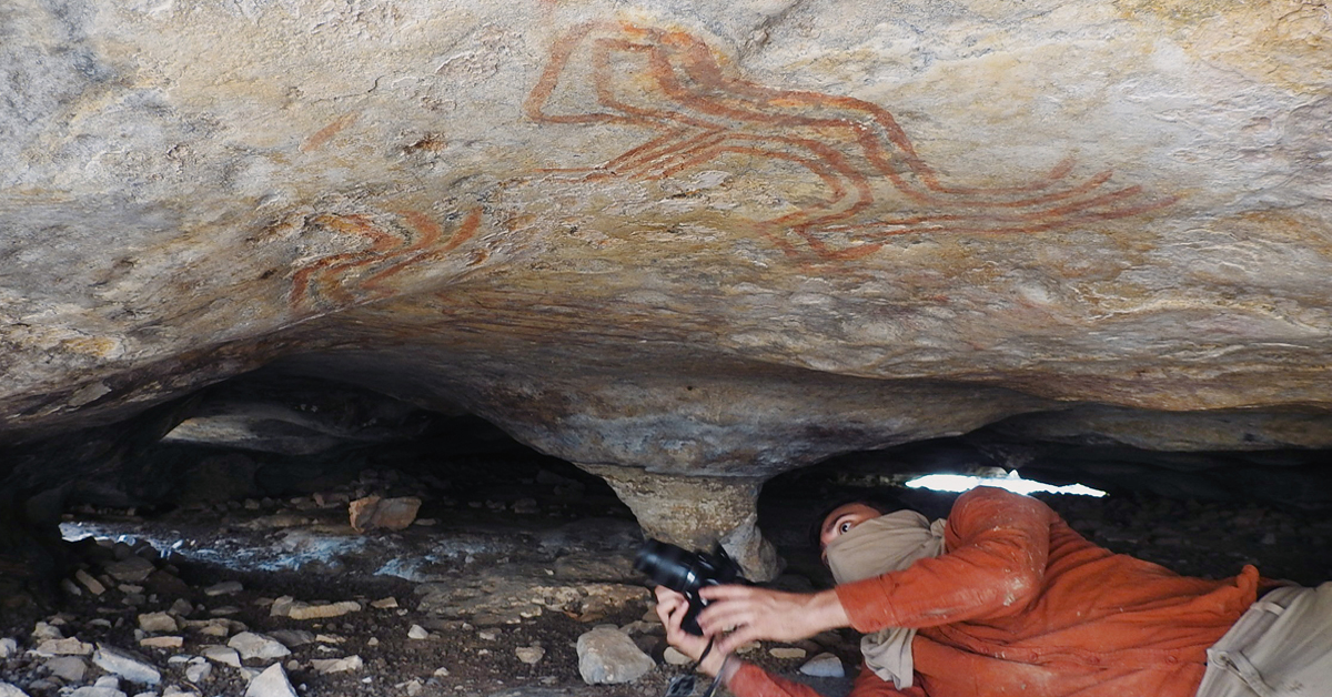 Bradshaw Foundation Twitter