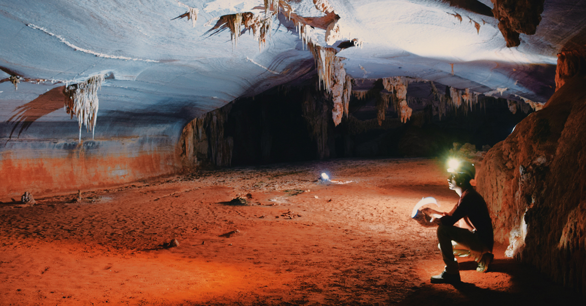 Bradshaw Foundation Facebook