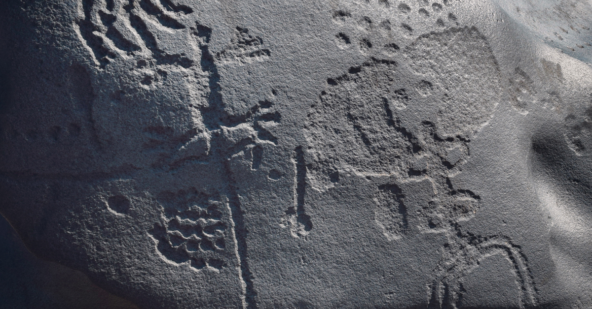 Bradshaw Foundation Facebook