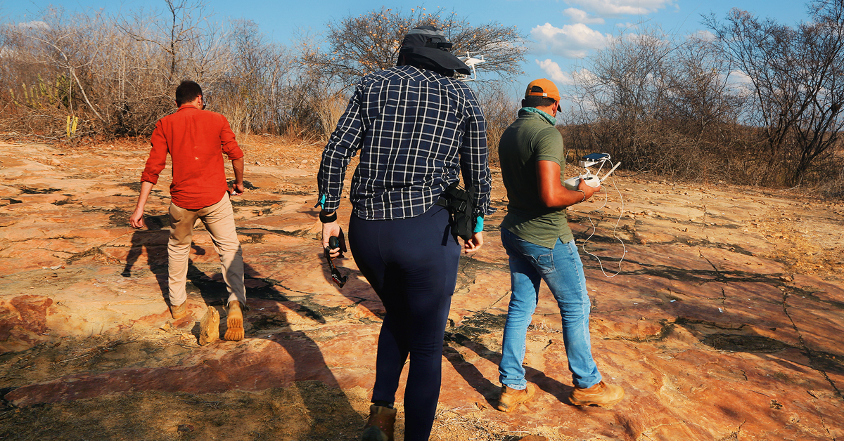 Bradshaw Foundation Facebook