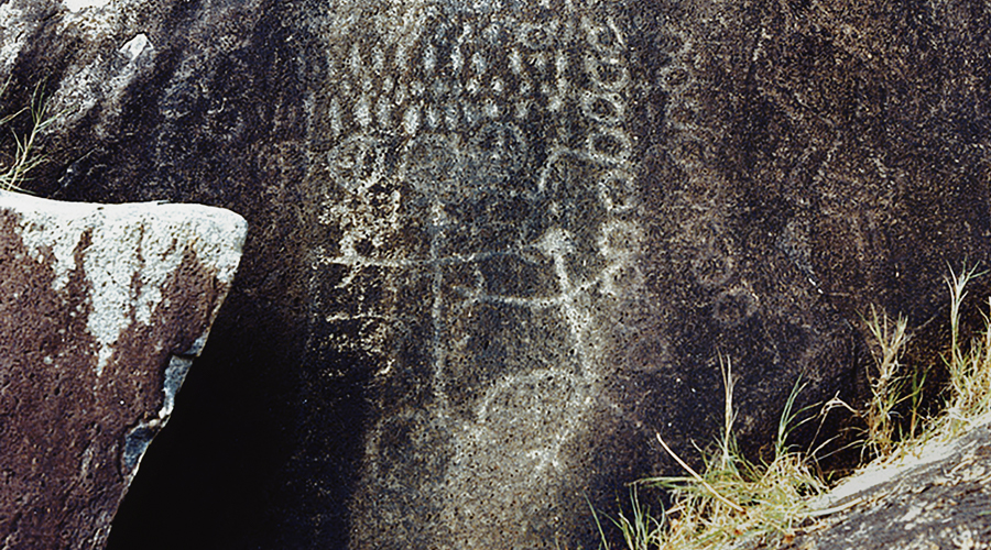 Rock Art of Arvoredo Island Petroglyphs Petroglyph South America Archaeology Bradshaw Foundation