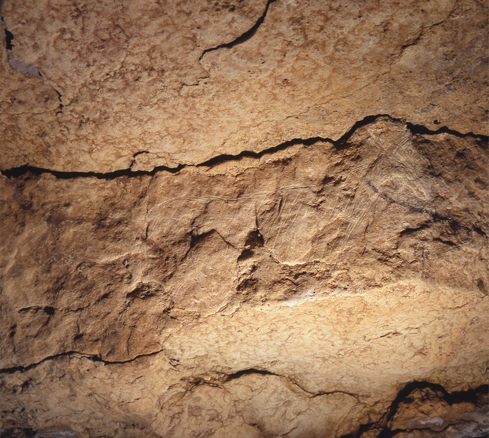 The Cave of Altamira Spain Engraved deer