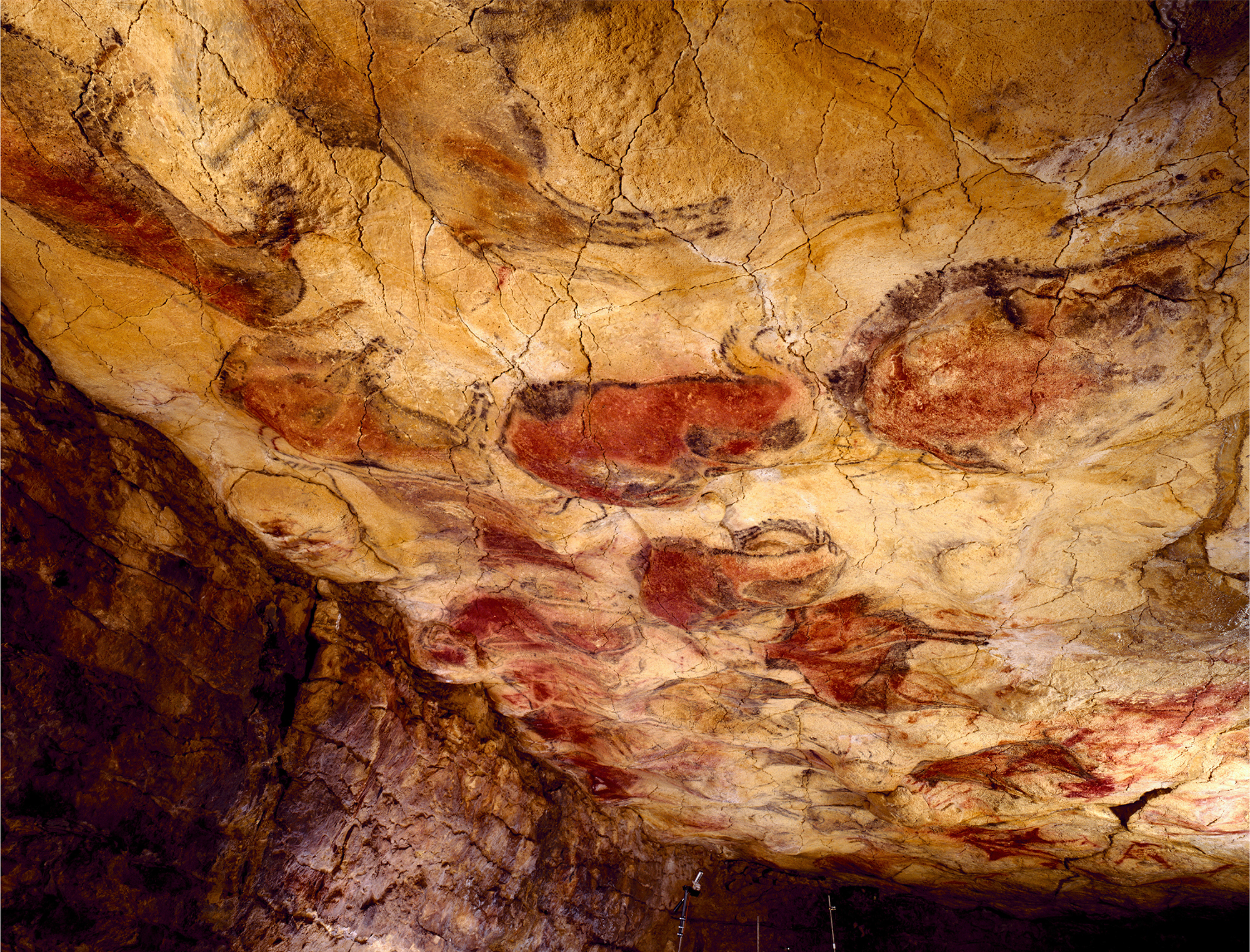 The Cave of Altamira Spain Polychrome ceiling