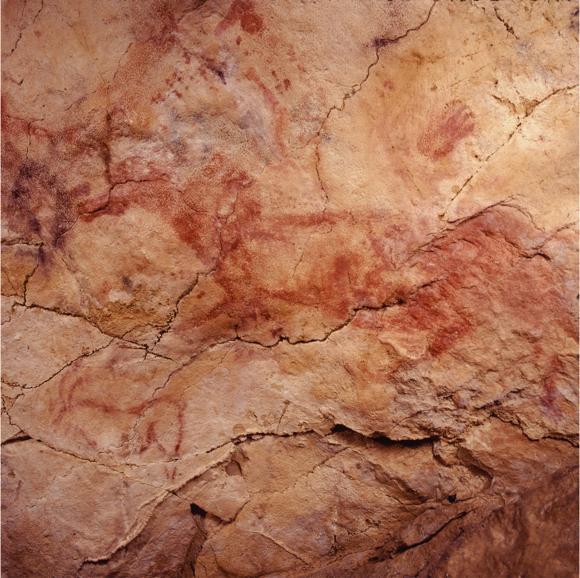 The Cave of Altamira Spain ceiling Red Horses Horse