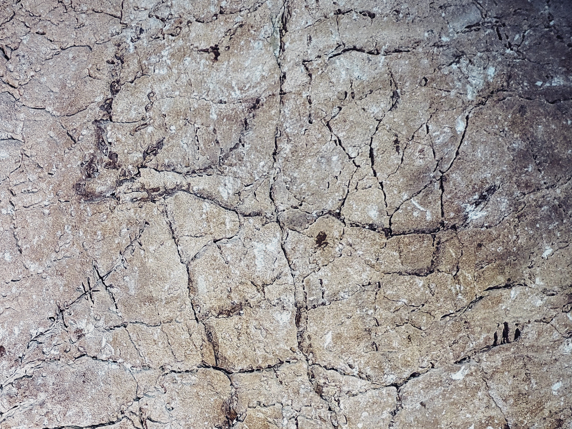Ancient Rock Art Exploring Andalucia Painted Caves Spain painted cervid chamber within the deep recesses of the cave
